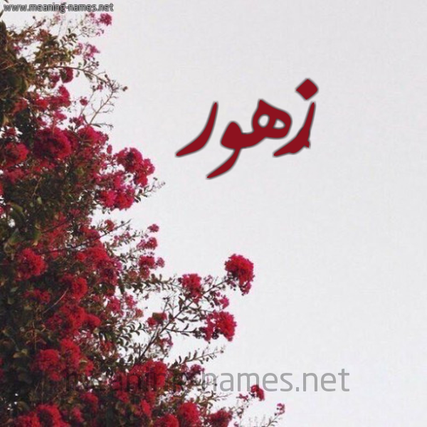 شكل 18 صوره الورد الأحمر للإسم بخط رقعة صورة اسم زُهور Zohor