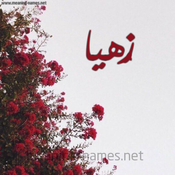 شكل 18 صوره الورد الأحمر للإسم بخط رقعة صورة اسم زُهيا Zuha