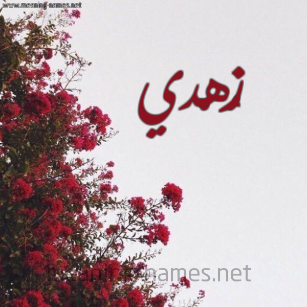 شكل 18 صوره الورد الأحمر للإسم بخط رقعة صورة اسم زُهْدي ZOHDI