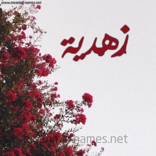 شكل 18 صوره الورد الأحمر للإسم بخط رقعة صورة اسم زُهْدية ZOHDIH