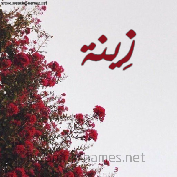 شكل 18 صوره الورد الأحمر للإسم بخط رقعة صورة اسم زِينة Zeina