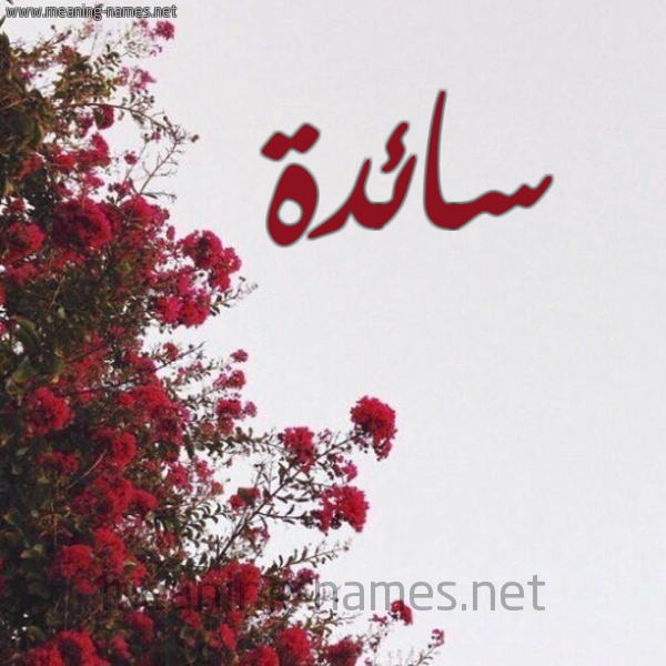 شكل 18 صوره الورد الأحمر للإسم بخط رقعة صورة اسم سائدة SAEDH