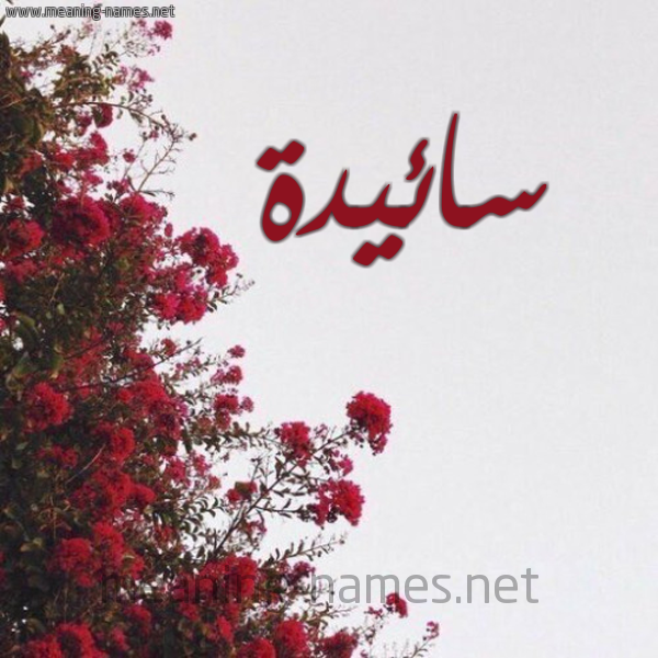 شكل 18 صوره الورد الأحمر للإسم بخط رقعة صورة اسم سائيدة Saeda