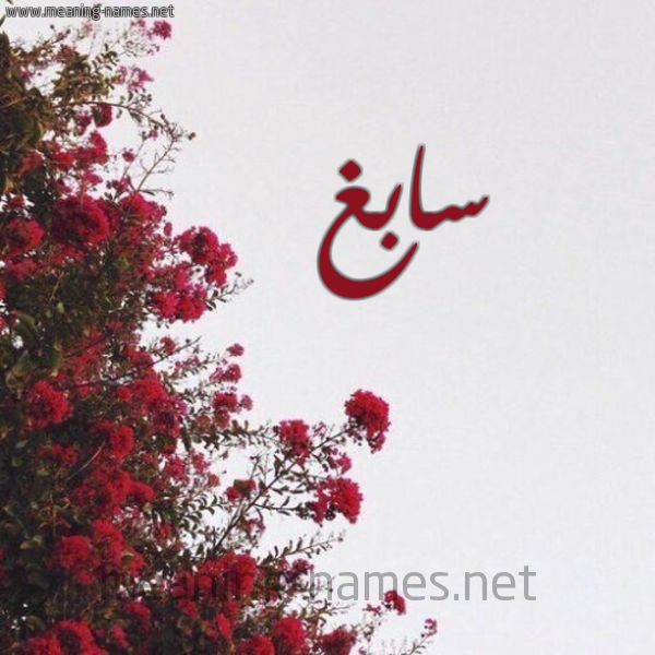 شكل 18 صوره الورد الأحمر للإسم بخط رقعة صورة اسم سابغ SABGH