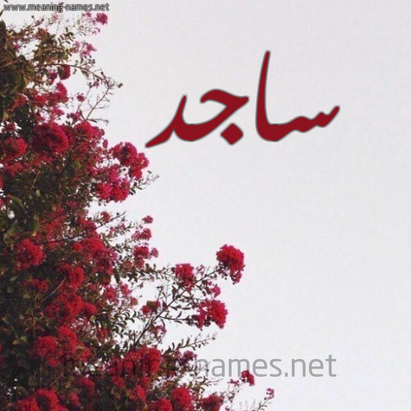 شكل 18 صوره الورد الأحمر للإسم بخط رقعة صورة اسم ساجد Sagd