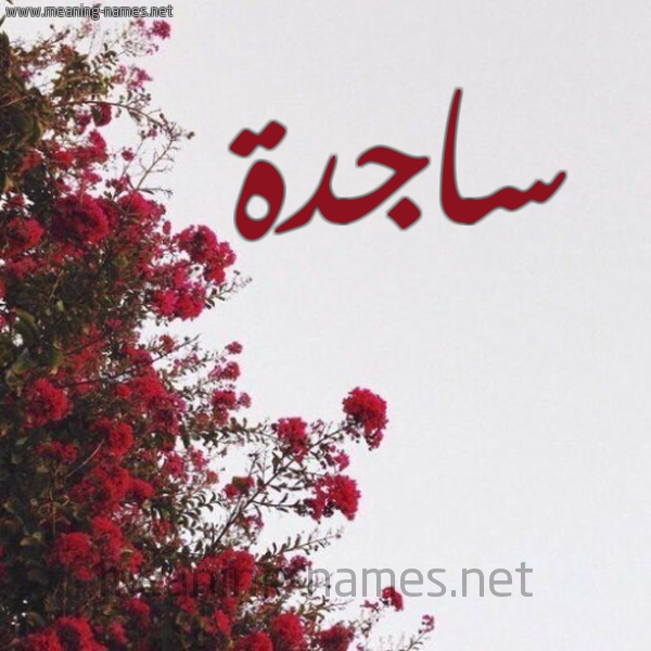 شكل 18 صوره الورد الأحمر للإسم بخط رقعة صورة اسم ساجدة Sajda