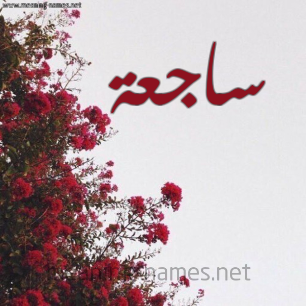 شكل 18 صوره الورد الأحمر للإسم بخط رقعة صورة اسم ساجعة SAGAH