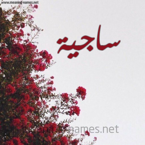 شكل 18 صوره الورد الأحمر للإسم بخط رقعة صورة اسم ساجية Sajyh