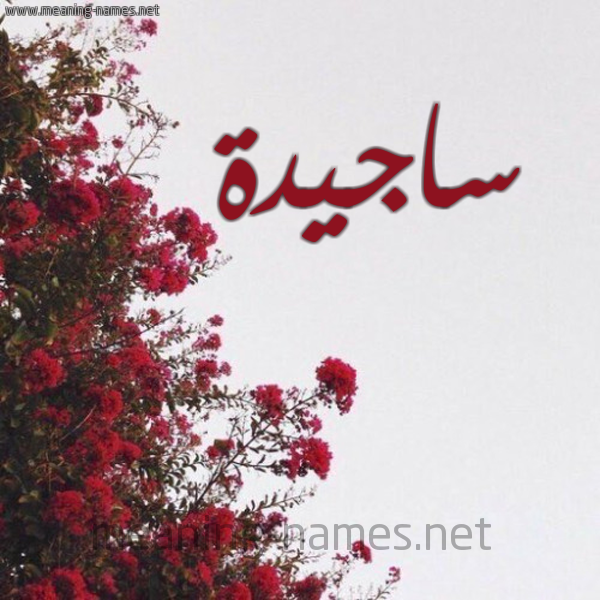 شكل 18 صوره الورد الأحمر للإسم بخط رقعة صورة اسم ساجيدة Sajida