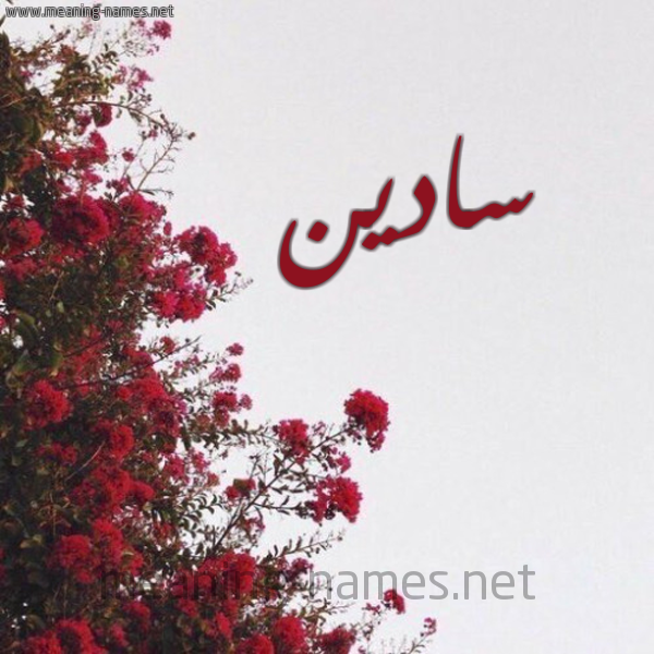 شكل 18 صوره الورد الأحمر للإسم بخط رقعة صورة اسم سادين Sadin