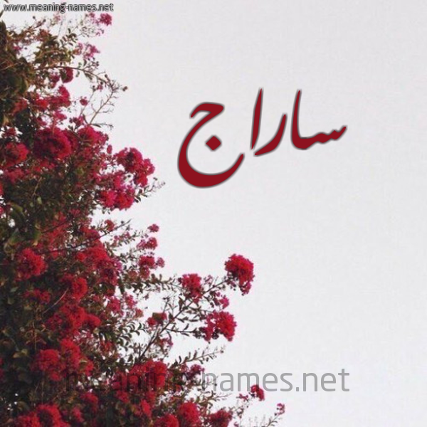 شكل 18 صوره الورد الأحمر للإسم بخط رقعة صورة اسم ساراج Seraj
