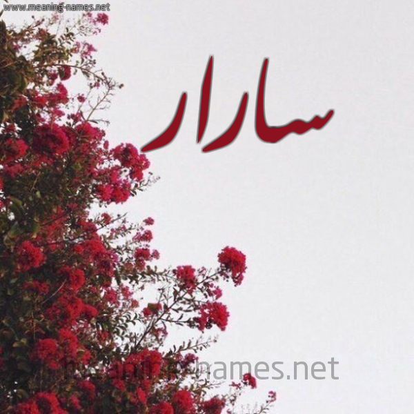 شكل 18 صوره الورد الأحمر للإسم بخط رقعة صورة اسم سارار Sarrar