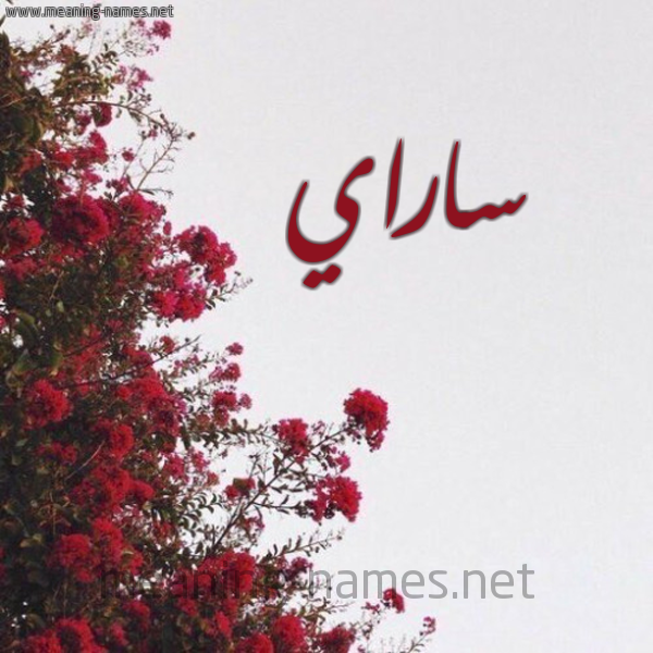 شكل 18 صوره الورد الأحمر للإسم بخط رقعة صورة اسم ساراي SARAI