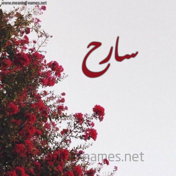 شكل 18 صوره الورد الأحمر للإسم بخط رقعة صورة اسم سارح Sarh