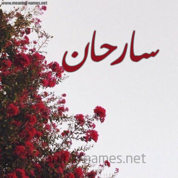 شكل 18 صوره الورد الأحمر للإسم بخط رقعة صورة اسم سارحان Serhan