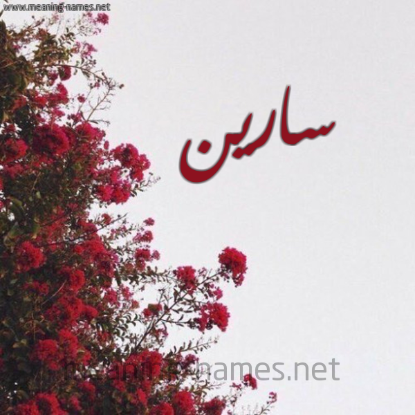 شكل 18 صوره الورد الأحمر للإسم بخط رقعة صورة اسم سارين sareen