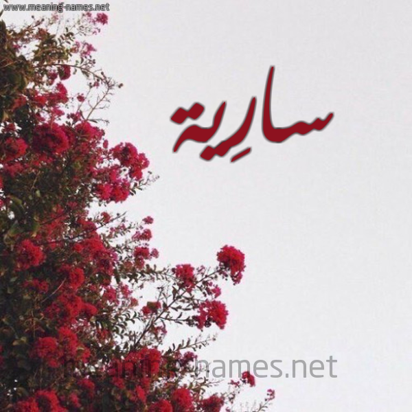 شكل 18 صوره الورد الأحمر للإسم بخط رقعة صورة اسم سارِية SAREIH