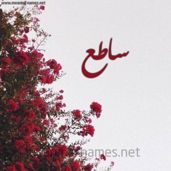 شكل 18 صوره الورد الأحمر للإسم بخط رقعة صورة اسم ساطع Satee