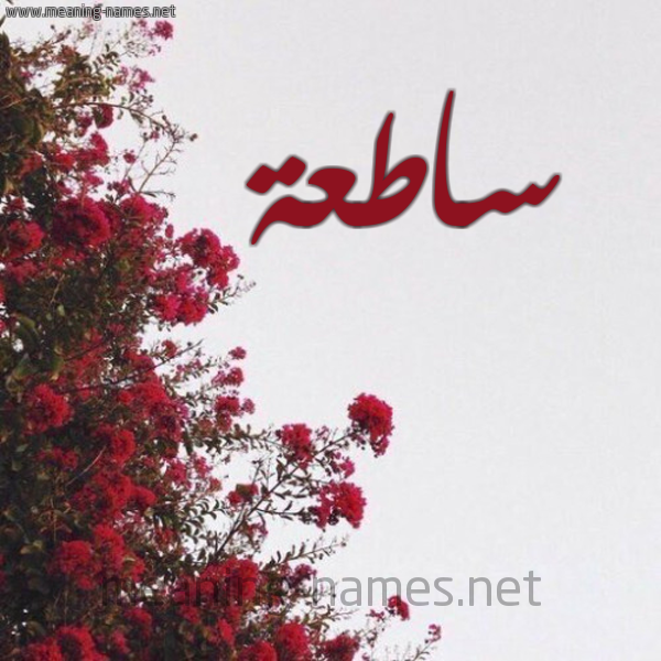 شكل 18 صوره الورد الأحمر للإسم بخط رقعة صورة اسم ساطعة SATAH