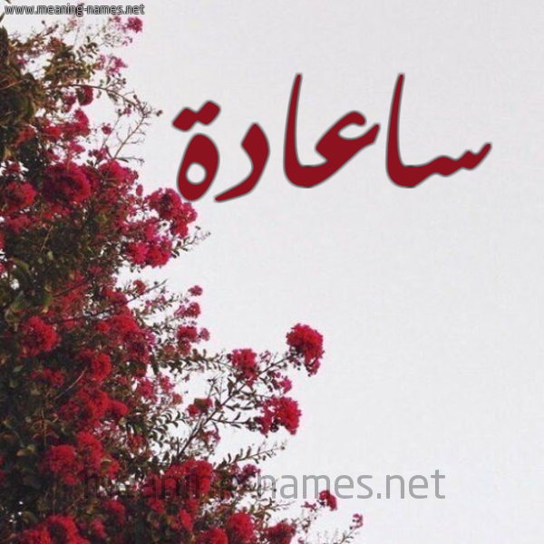 شكل 18 صوره الورد الأحمر للإسم بخط رقعة صورة اسم ساعادة Saadah