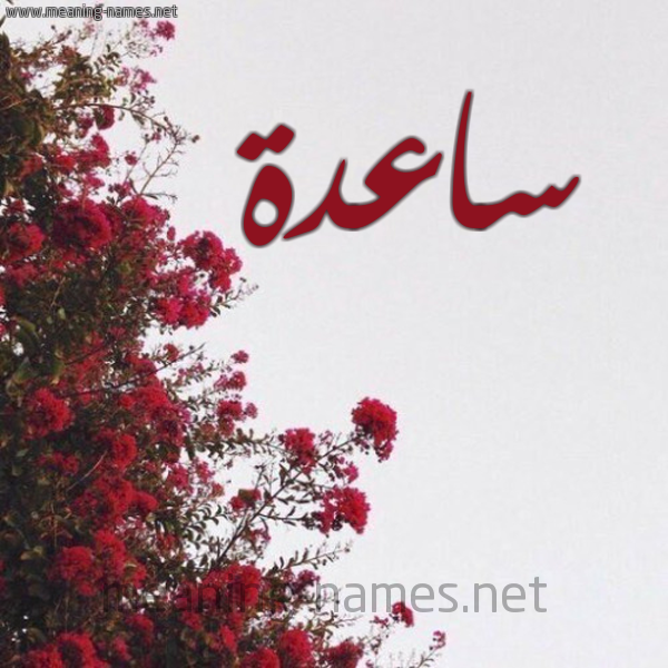 شكل 18 صوره الورد الأحمر للإسم بخط رقعة صورة اسم ساعدة SAADH