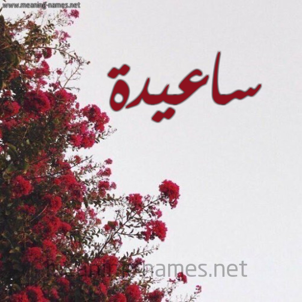 شكل 18 صوره الورد الأحمر للإسم بخط رقعة صورة اسم ساعيدة Saeda