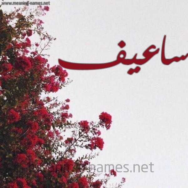 شكل 18 صوره الورد الأحمر للإسم بخط رقعة صورة اسم ساعيف Saef
