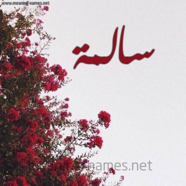 شكل 18 صوره الورد الأحمر للإسم بخط رقعة صورة اسم سالمة Salmh