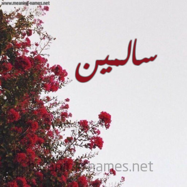 شكل 18 صوره الورد الأحمر للإسم بخط رقعة صورة اسم سالمين Salmin
