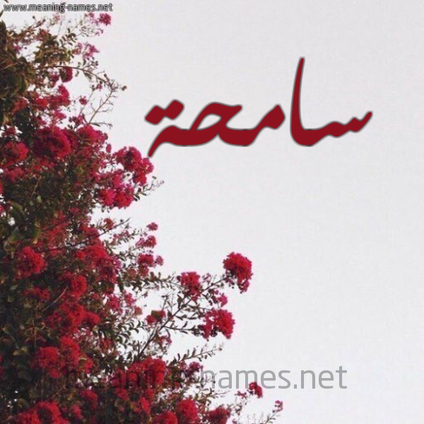 شكل 18 صوره الورد الأحمر للإسم بخط رقعة صورة اسم سامحة SAMHH