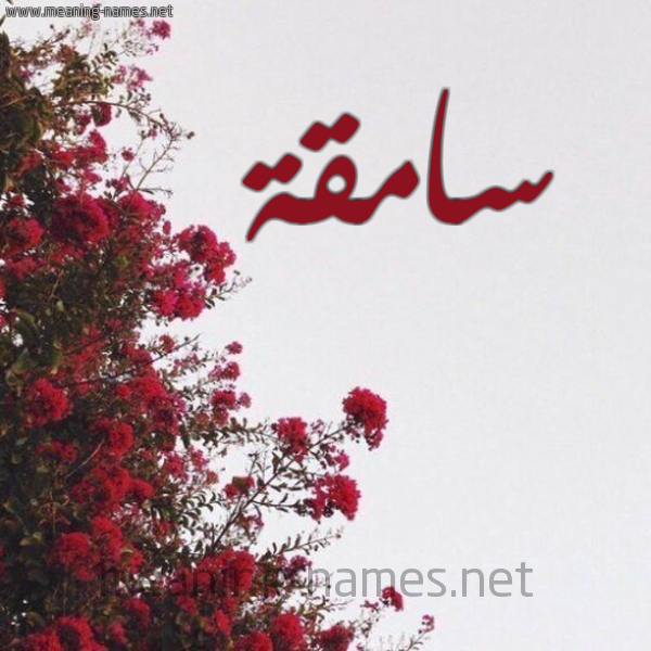 شكل 18 صوره الورد الأحمر للإسم بخط رقعة صورة اسم سامقة SAMQH