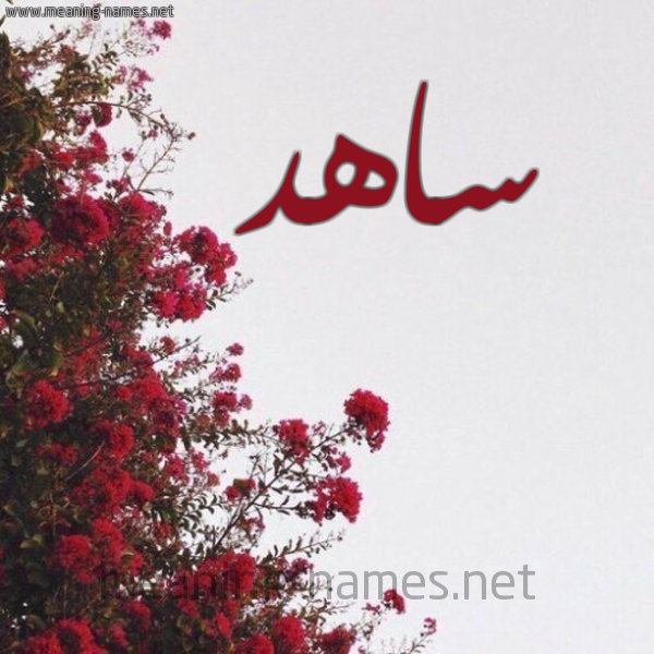 شكل 18 صوره الورد الأحمر للإسم بخط رقعة صورة اسم ساهد SAHD