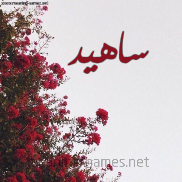 شكل 18 صوره الورد الأحمر للإسم بخط رقعة صورة اسم ساهيد Sahid