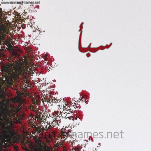 شكل 18 صوره الورد الأحمر للإسم بخط رقعة صورة اسم سبأ Saba