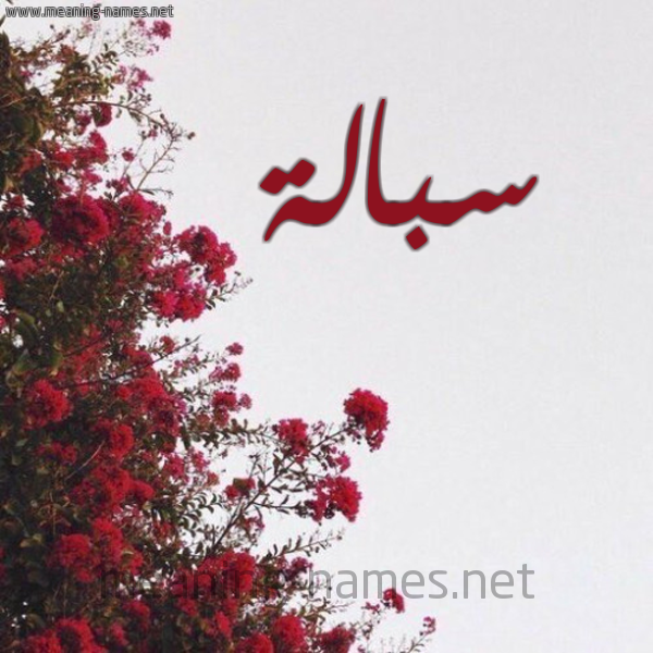 شكل 18 صوره الورد الأحمر للإسم بخط رقعة صورة اسم سبالة SBALH