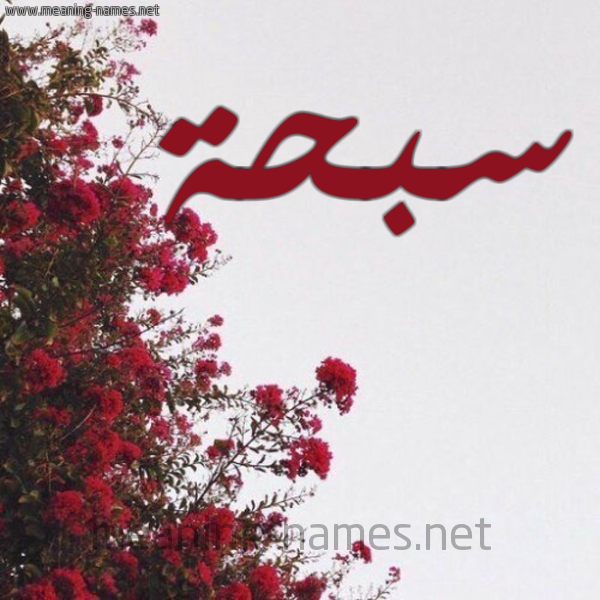 شكل 18 صوره الورد الأحمر للإسم بخط رقعة صورة اسم سبحة Sbhh