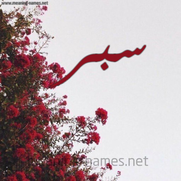 شكل 18 صوره الورد الأحمر للإسم بخط رقعة صورة اسم سبر Sbr