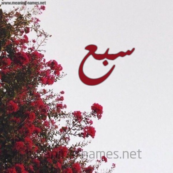شكل 18 صوره الورد الأحمر للإسم بخط رقعة صورة اسم سبع Sbaa