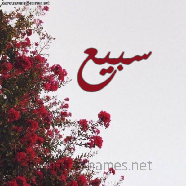 شكل 18 صوره الورد الأحمر للإسم بخط رقعة صورة اسم سبيع Sby"