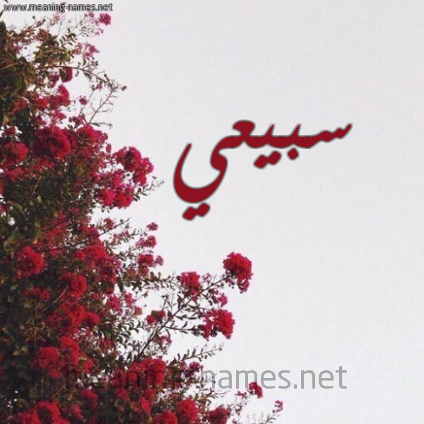 شكل 18 صوره الورد الأحمر للإسم بخط رقعة صورة اسم سبيعي Sby'y