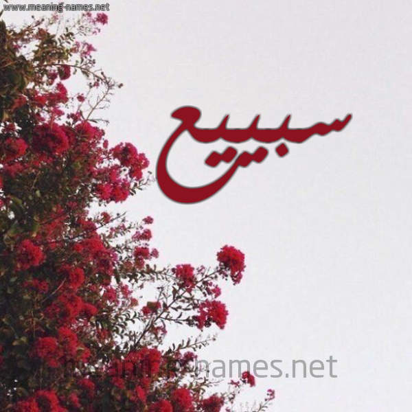شكل 18 صوره الورد الأحمر للإسم بخط رقعة صورة اسم سبييع Subai