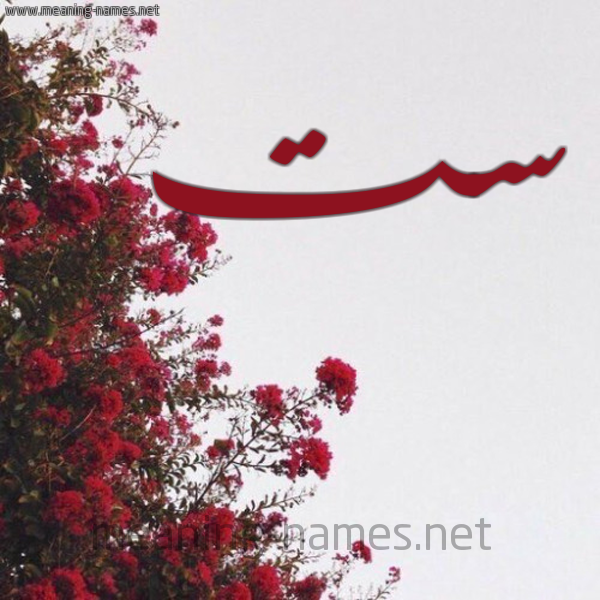 شكل 18 صوره الورد الأحمر للإسم بخط رقعة صورة اسم ست ST