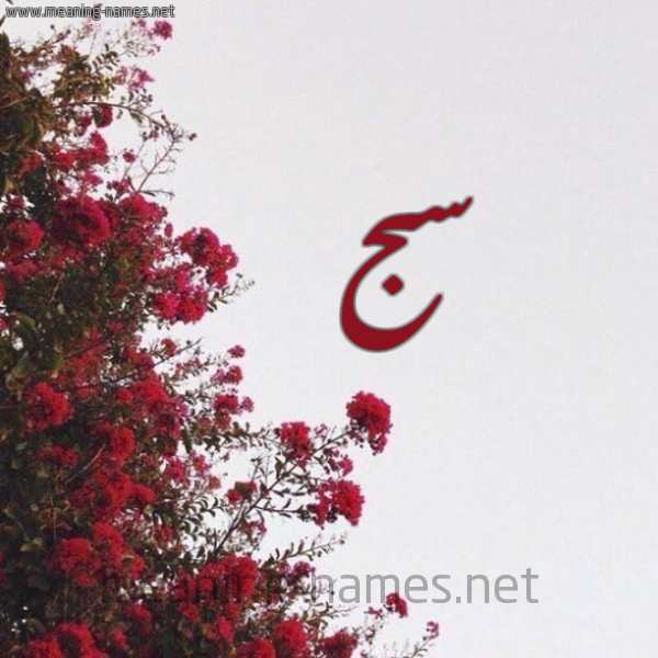 شكل 18 صوره الورد الأحمر للإسم بخط رقعة صورة اسم سج SG
