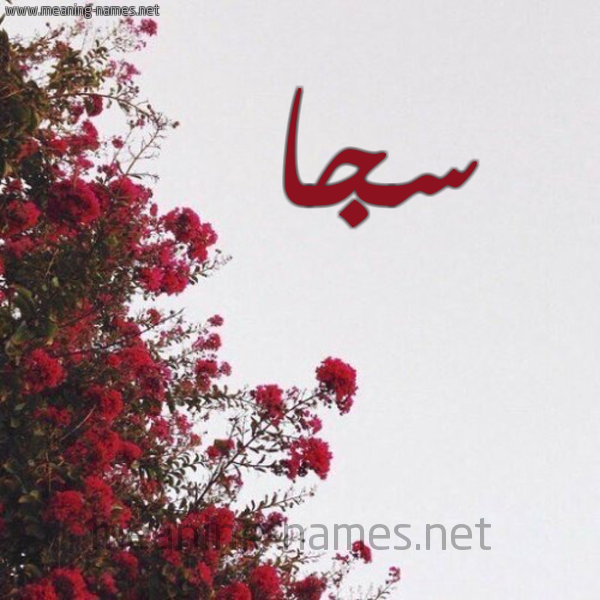 شكل 18 صوره الورد الأحمر للإسم بخط رقعة صورة اسم سجا Sja
