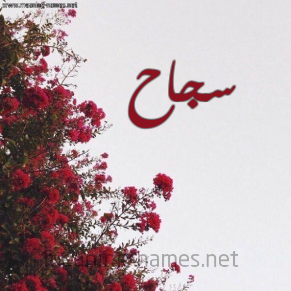 شكل 18 صوره الورد الأحمر للإسم بخط رقعة صورة اسم سجاح SGAH