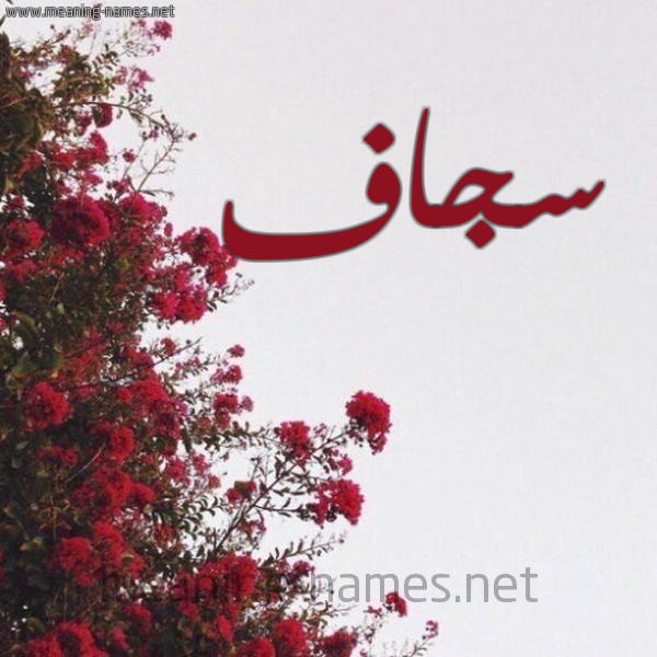 شكل 18 صوره الورد الأحمر للإسم بخط رقعة صورة اسم سجاف Sjaf
