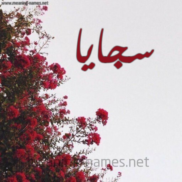 شكل 18 صوره الورد الأحمر للإسم بخط رقعة صورة اسم سجايا Sjaya