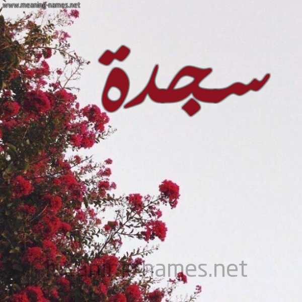 شكل 18 صوره الورد الأحمر للإسم بخط رقعة صورة اسم سجدة Sajda