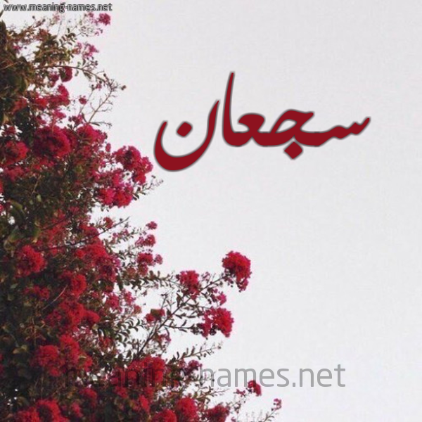 شكل 18 صوره الورد الأحمر للإسم بخط رقعة صورة اسم سجعان SGAAN