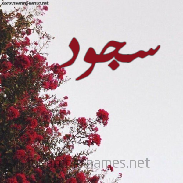 شكل 18 صوره الورد الأحمر للإسم بخط رقعة صورة اسم سجود Sojud